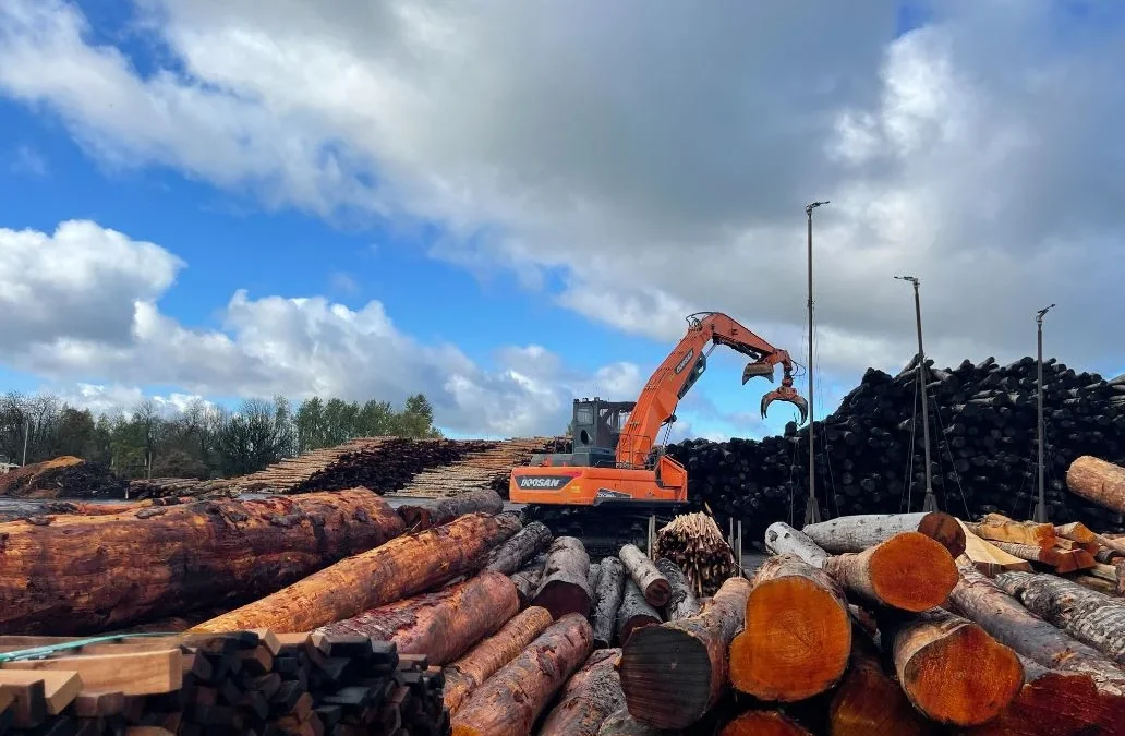 Could an Extended Downturn in both Hardwood and Softwood Markets Be a Hangover for Years to Come? 