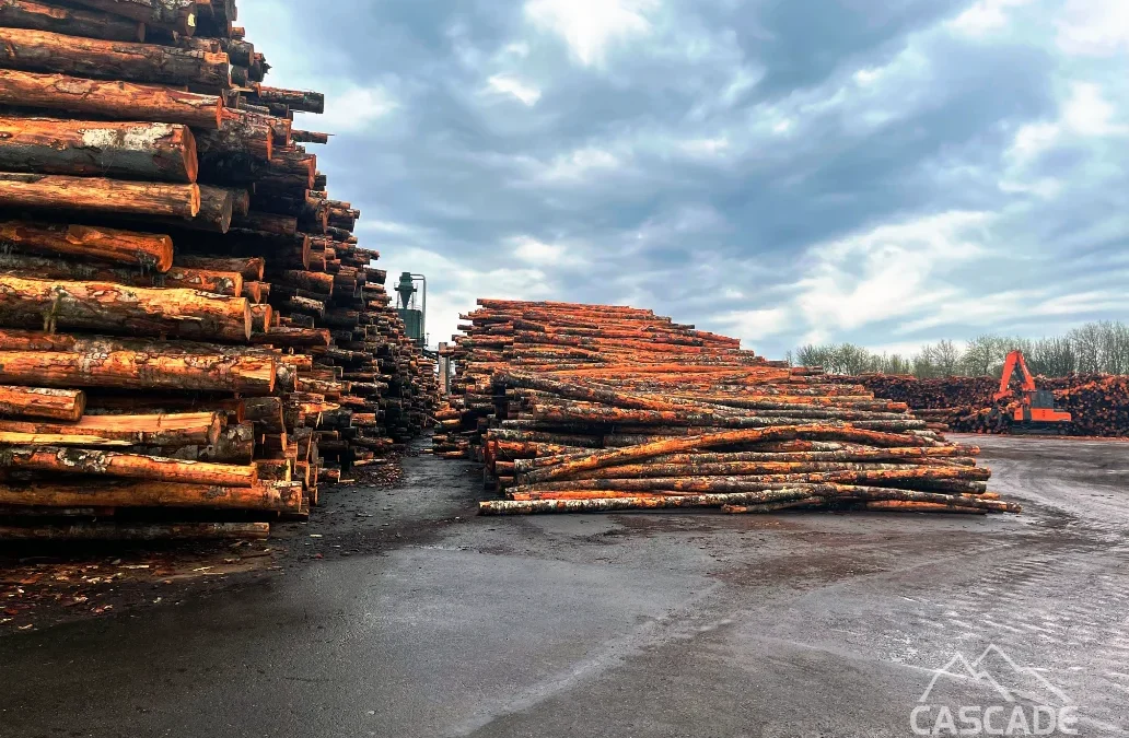 Alder Availability Outlook